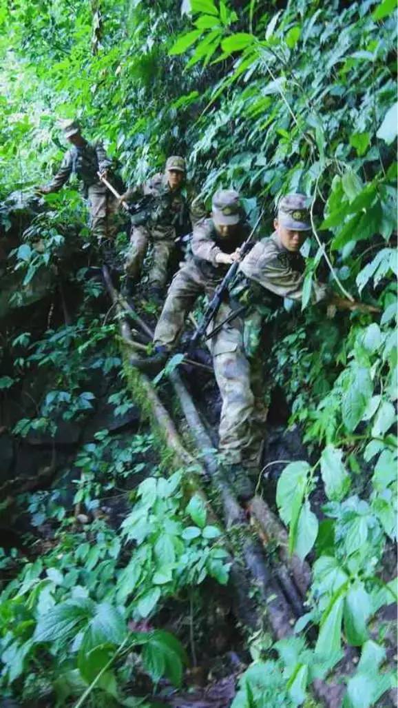 (含视频)_手机新浪网