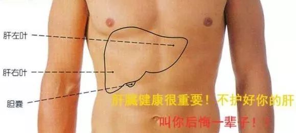 身体4个部位变黑 说明你肝不好 护肝养肝就要这样做 手机新浪网 身体4个部位变黑 说明你肝不好 护肝养肝就要这样做 手机新浪网