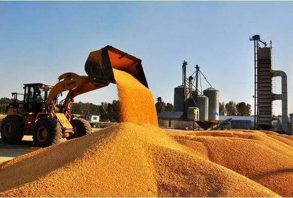 农产品|期货|玉米_新浪财经_新浪网