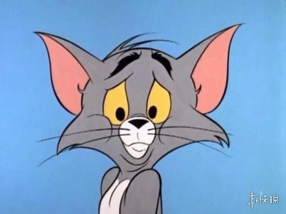 汤姆猫意外是蛮多人喜欢的角色,一只欢快的猫以及一只永远捉不到的