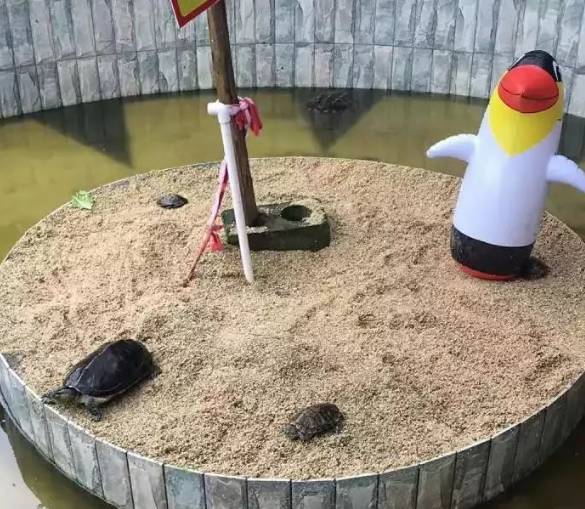 动物园|龟山公园|龟山_新浪新闻