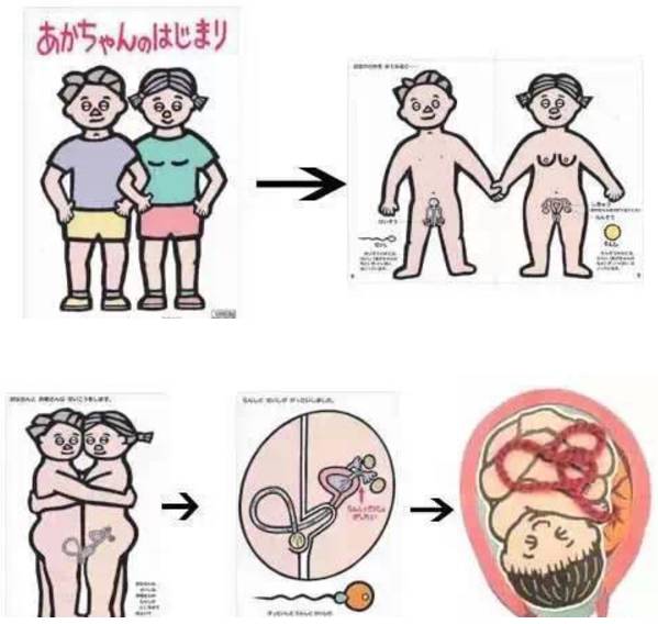 书封面上,就有女性和男性的身体和性器官图,从小告诉他们"男女有别"