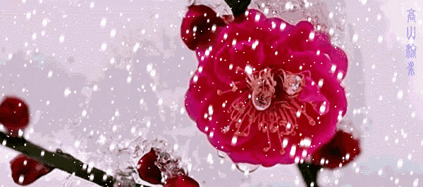 600_266gif 动态图 动图