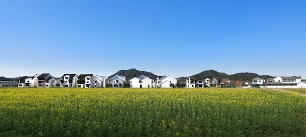 艺术与乡土建设⑥大竹园村隐建筑师情怀建可推广的农房