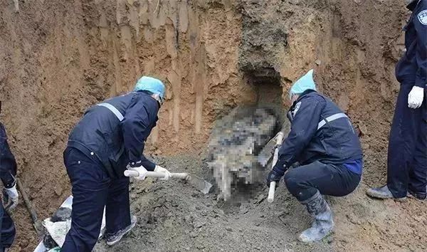 传销人渣致他人死亡埋尸荒山!