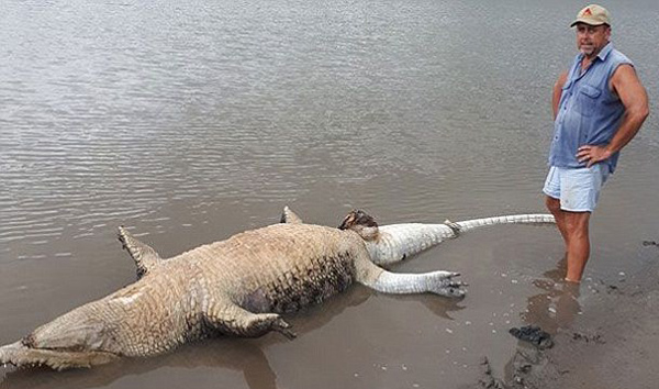 鳄鱼养殖场事故图片