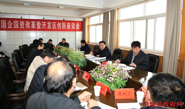 阳城百货：本土购物中心的新兴力量