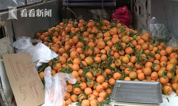 从这次事件我们不仅看到了民警执法时的铁面无私,同时也看到了他们