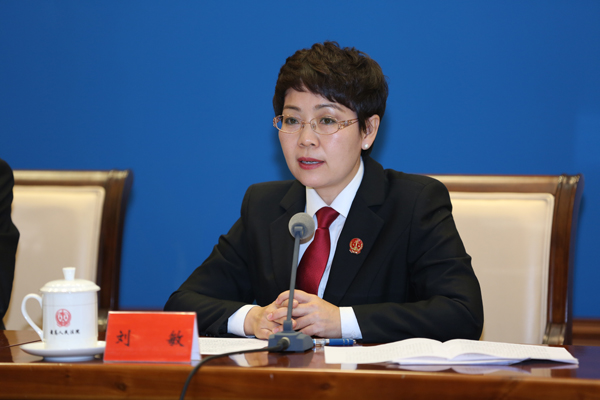 最高人民法院民事审判第一庭副庭长 刘敏现场记者中央电视台记者
