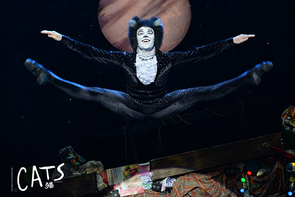 音乐剧《猫》要来巡演了,复刻伦敦西区版