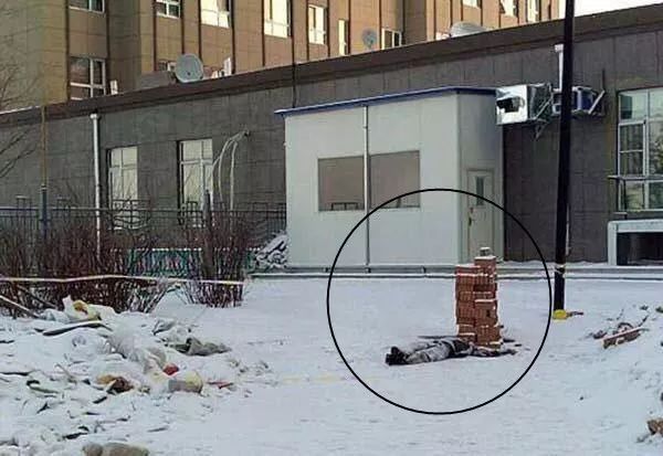 马路上,后来被小区的邻居们发现后扶回了家中,没想到这次竟冻死在外边