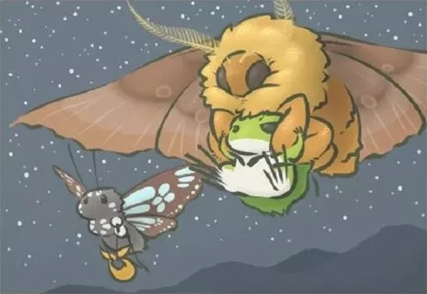 你真的读懂蛙儿子明信片里的含义了吗