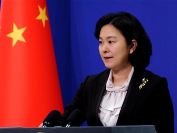 华春莹|外交部|半岛_新浪新闻