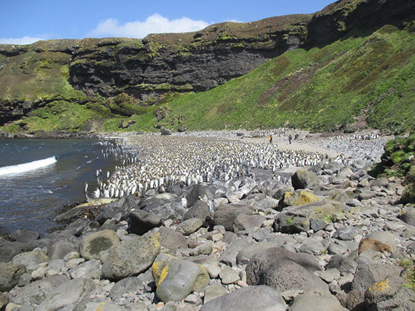 我们问了问全世界旅行最多的人,他觉得哪里最好玩?