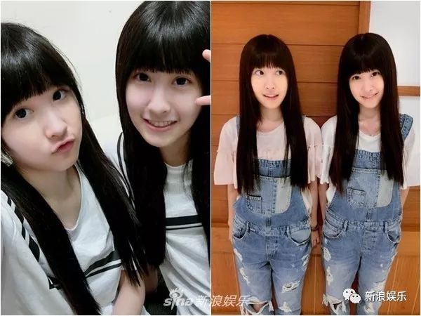 没想到郑爽是个文艺少女谢霆锋这波操作你给几分