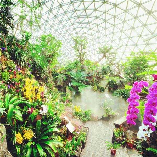 亚洲最大温室春暖花开冬季辰山植物园美翻天 手机新浪网