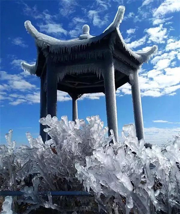 图自网络 这就是我们大广东的冬天!