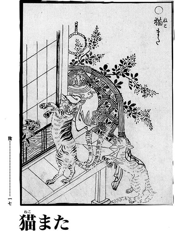 浮世绘猫妖 猫又喜好吃人,传说日本古代一些老人由于儿女不在身边,会