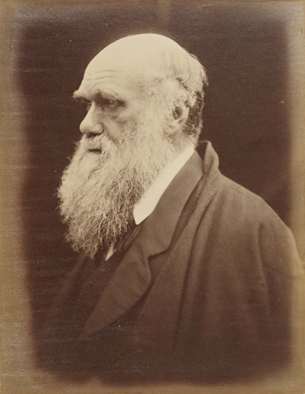 margaret cameron)在1868年时拍摄的查尔斯·达尔文(charles darwin)