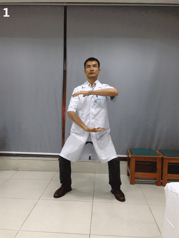 ④回归中立位,收式.