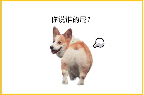 发明"狗屁不通"这个词的人,到底对狗做了什么?