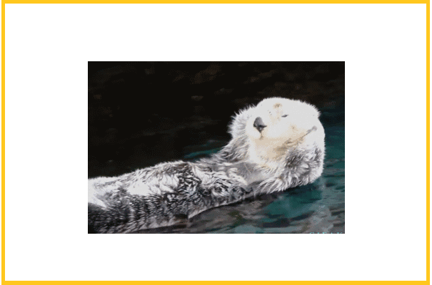 包含着恐惧或者食物的信息还有助于探测其它鲱鱼的位置【398】狮子打