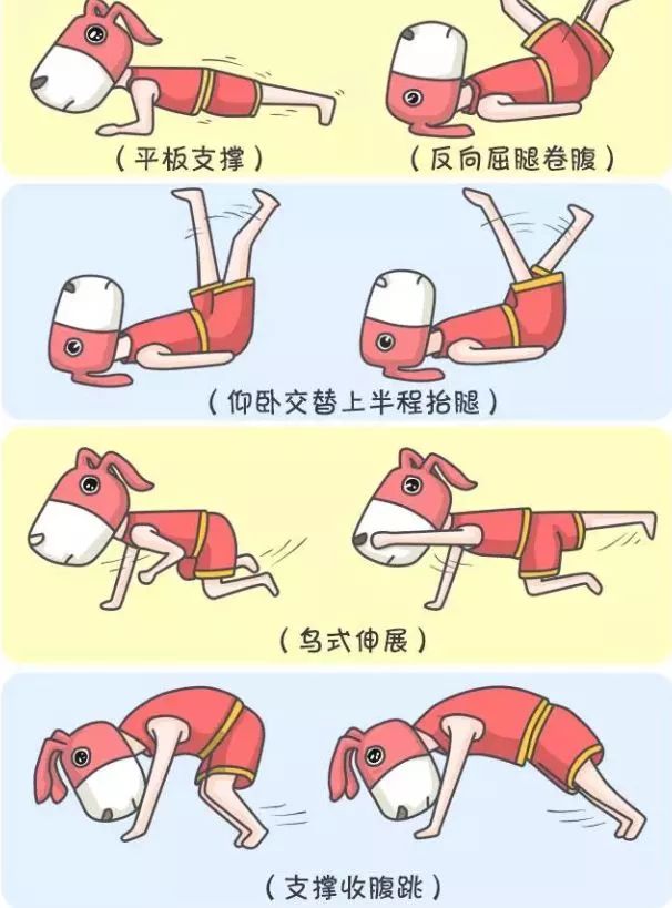 【健康】啤酒肚是喝啤酒造成的吗?这次有了权威说法|腹部|啤酒肚|男性