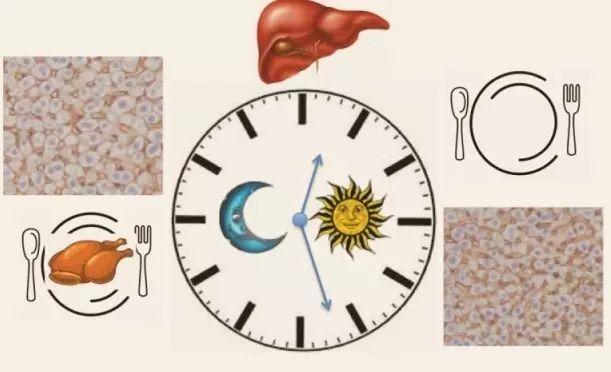 今年诺贝尔医学奖的健康忠告:只有四个字,价值740万