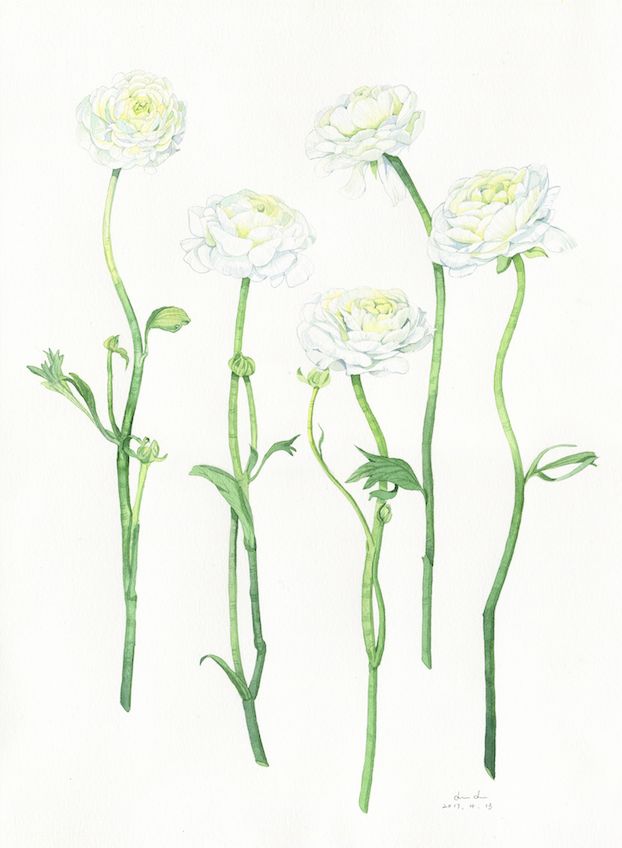 ▼植物水彩▼小鸟水彩▼金鱼水彩▼森系人物水彩森系水彩插画作品哆多