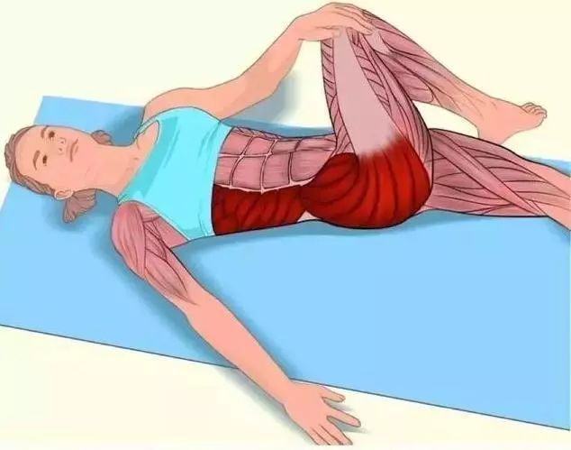 终于找到这套全身拉筋动作3d图解,比教科书还管用