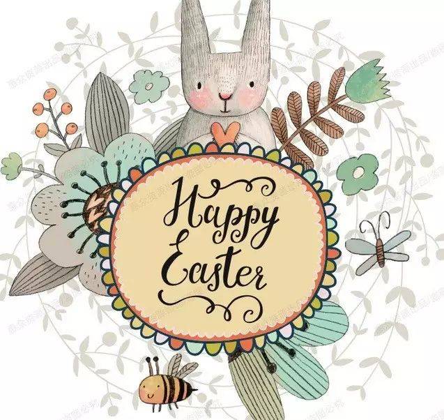 缤纷校园 | 上海市朱家角中学:来最美古镇,看水