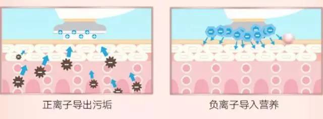 预告|过年要美美哒,雅萌美容仪火爆最新版11T