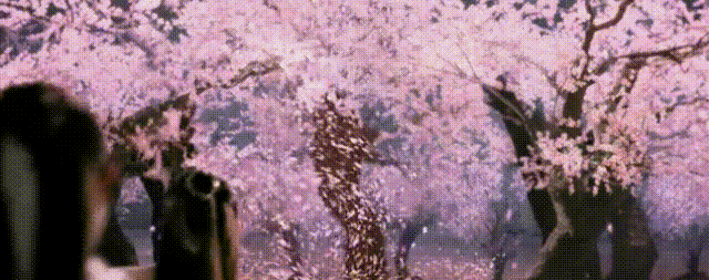 640_253gif 动态图 动图