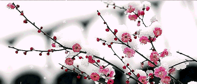 640_274gif 动态图 动图