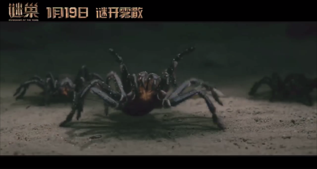 比如在即将上映的电影《谜巢》中出现的漏斗网蜘蛛.