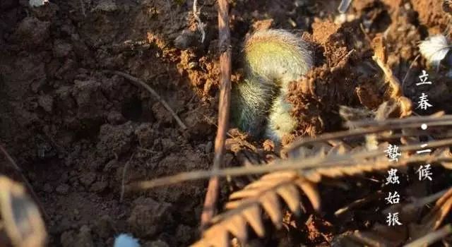 立春冬天就要过去了今日立春有讲究