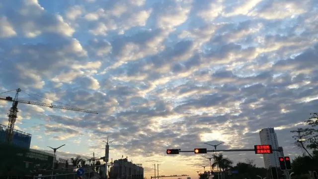 【新闻晚餐】广西发布一批领导干部任前公示