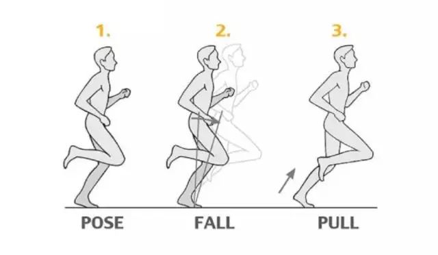 罗曼诺夫博士透过长期研究人类动作,累积教学经验,并从芭蕾中获得灵感