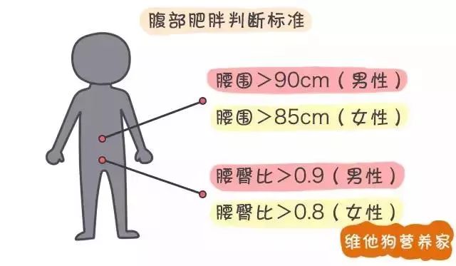 ps:腰臀比=腰围/臀围看到这里,相信你们心里都有数了.