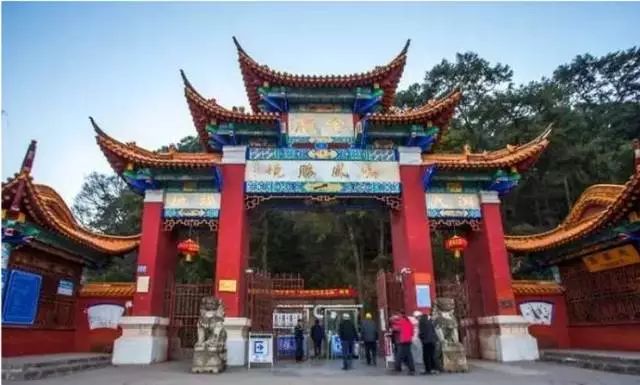 云南不愧是春节最撩人的地方,16州市盛大活动预告