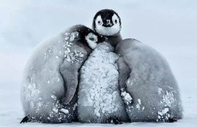 朝韩高级别会谈细节:从尴尬开场