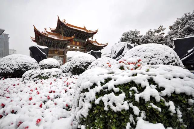 昆明,你真的欠我们一场雪!|昆明|雪景|下雪_新浪新闻