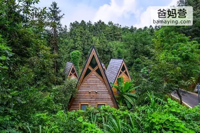 美到尖叫!中国最美的10大树屋酒店!带娃去童话中旅行吧!