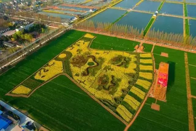 沿247省道一路向南往六合瓜埠镇,玉带镇,龙袍镇,越往里,越壮观.