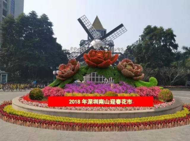 2018年深圳逛花市攻略来啦~|深圳|花卉世界|花展_新浪新闻
