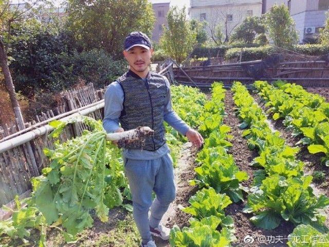 一龙打谁?西提猜播求李景亮?