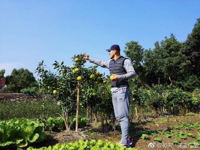 一龙打谁?西提猜播求李景亮?