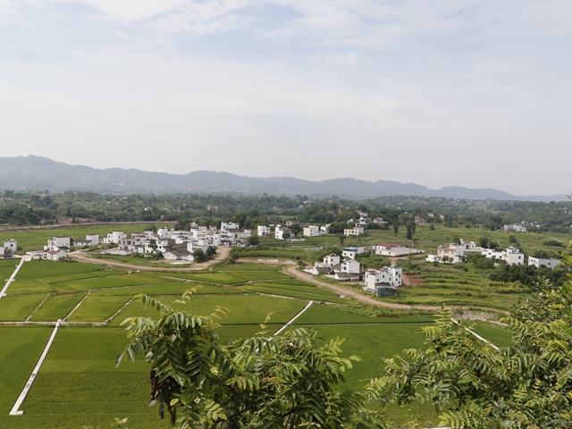 宅基地改革泸县收获:乡村止衰转活