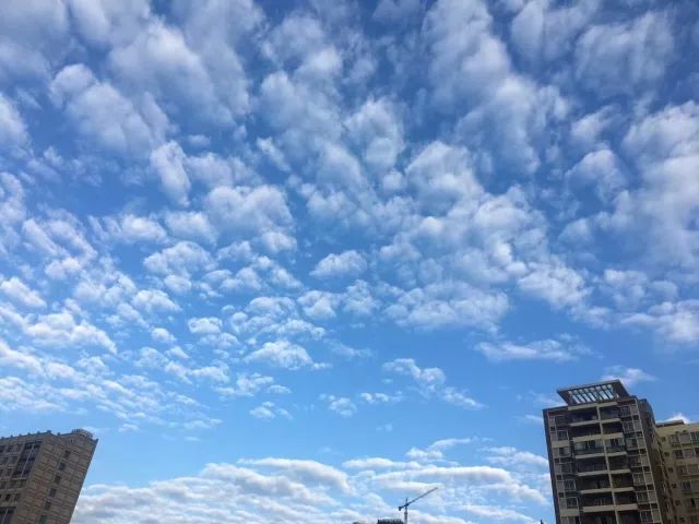 【新闻晚餐】广西发布一批领导干部任前公示