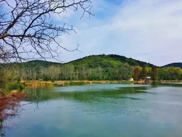 門票:免費地址:南京溧水區無想山國家森林公園大金山風景區大金山風景